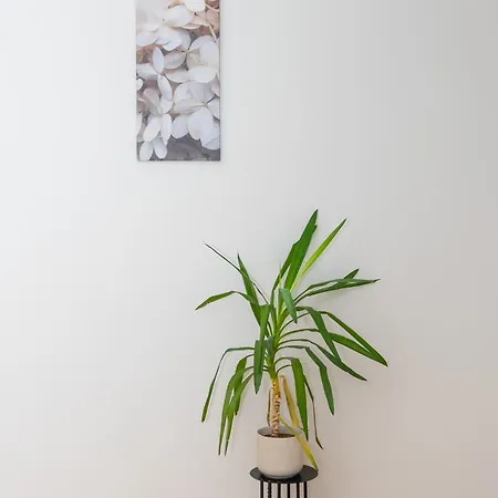 Апартаменты Cosy Homey Nook